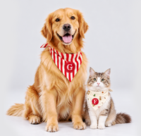 Bandana Pet De Natal Personalizada | Natal 2026
