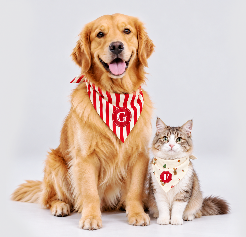 Bandana Pet De Natal Personalizada | Natal 2026