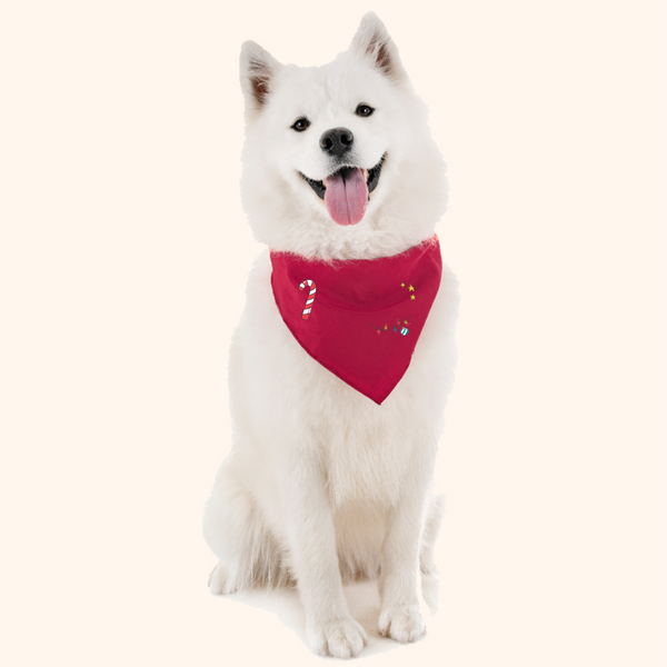 Bandana Pet Vermelho