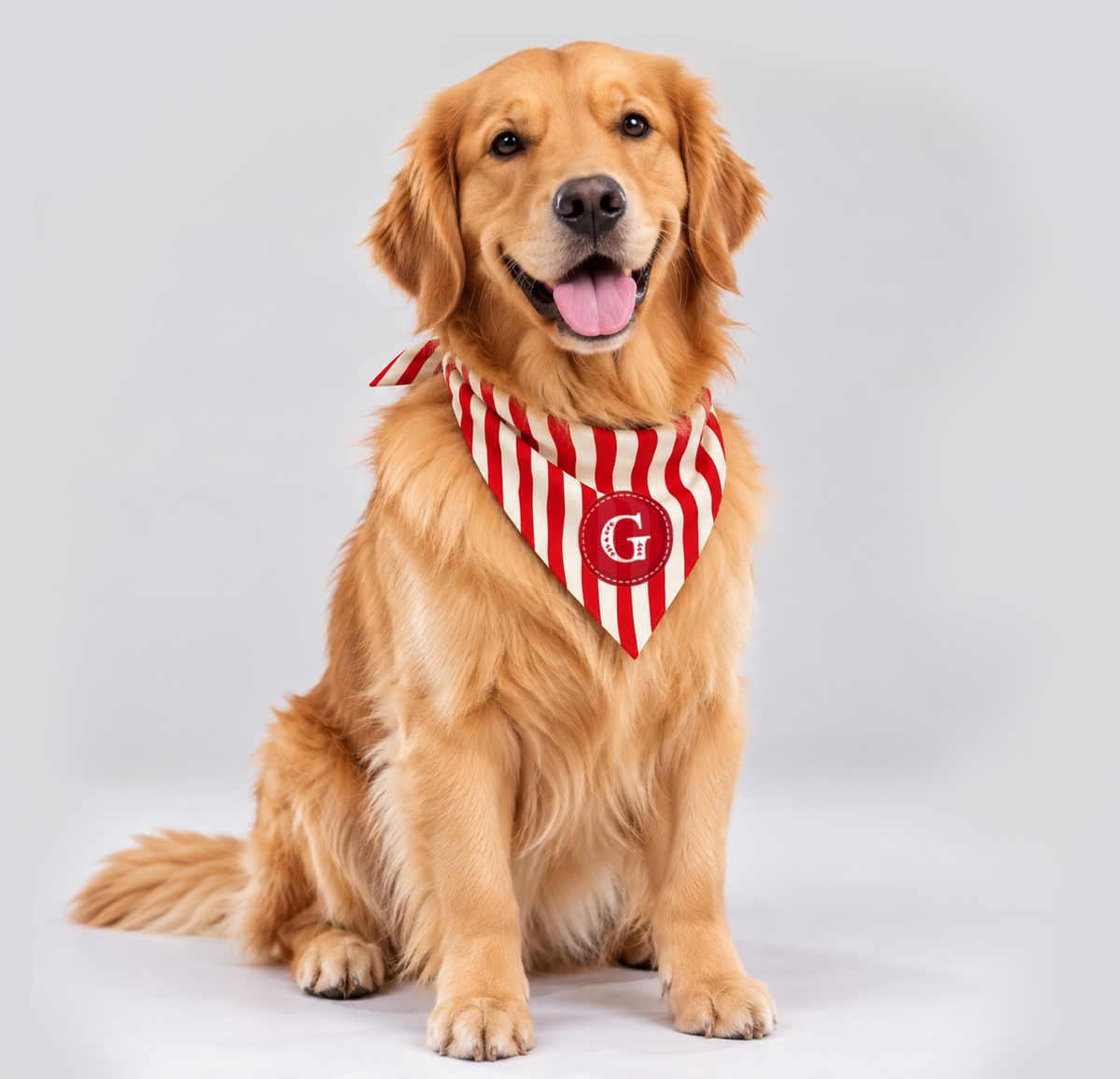 Bandana Pet De Natal Personalizada | Natal 2026