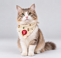 Bandana Pet De Natal Personalizada | Natal 2026